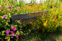 Tenison Park Pollinator Garden